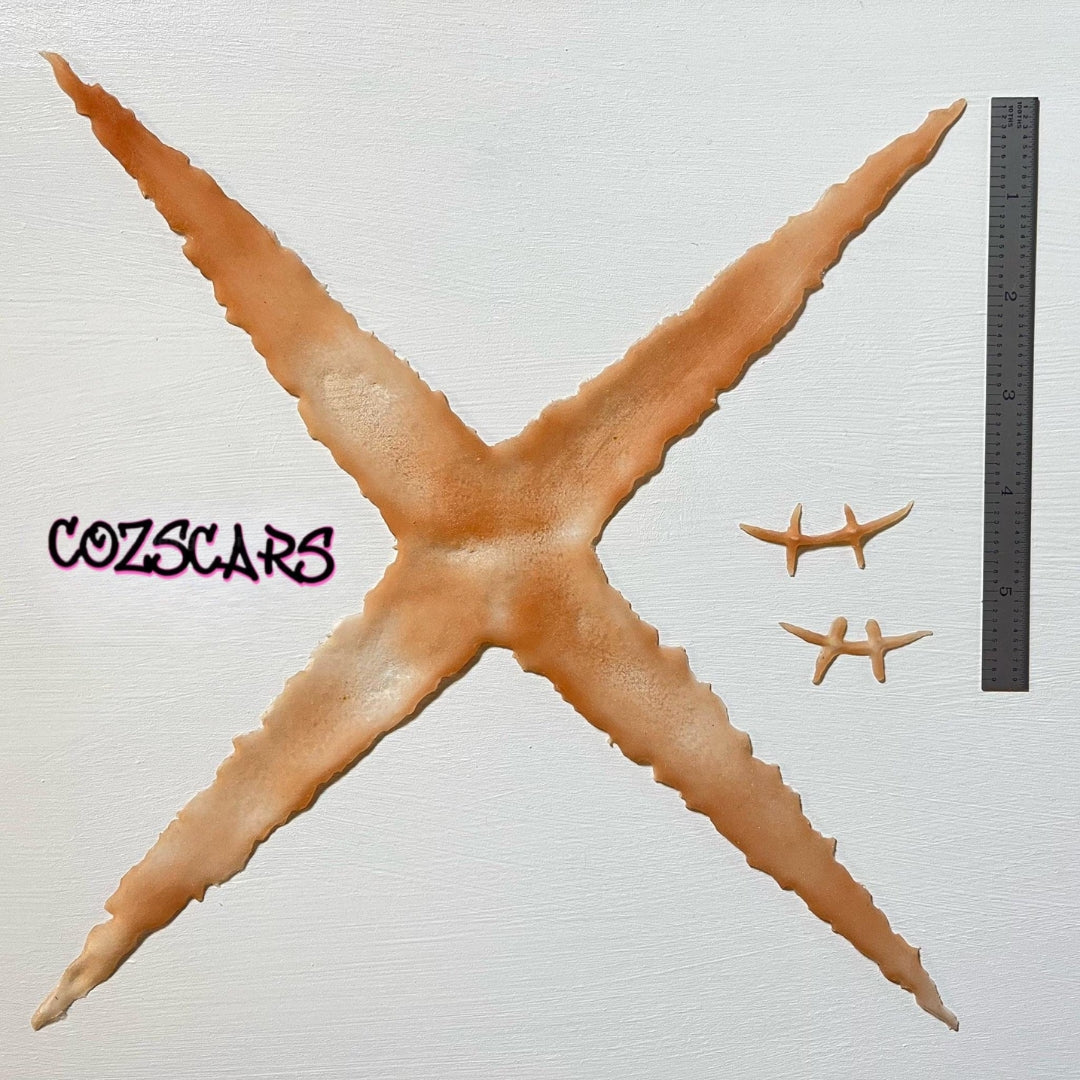 Luffy Cosplay Character Scar Kit From "One Piece"