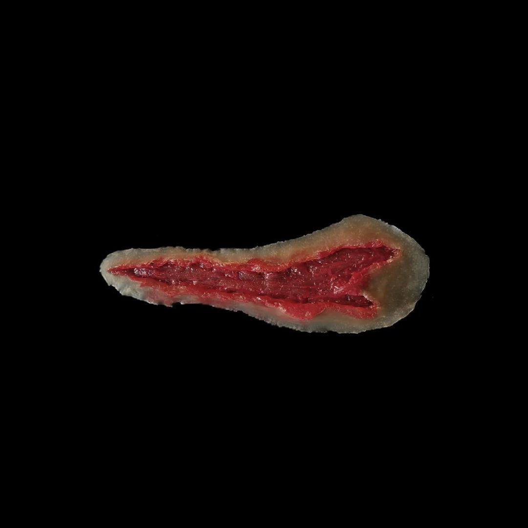 6 Large Open Wounds Laceration Skin Tear Easy to Apply and Use for EMS Scenario Training, Cosplay, & Fun