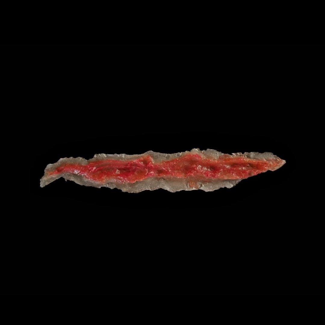 6 Large Open Wounds Laceration Skin Tear Easy to Apply and Use for EMS Scenario Training, Cosplay, & Fun
