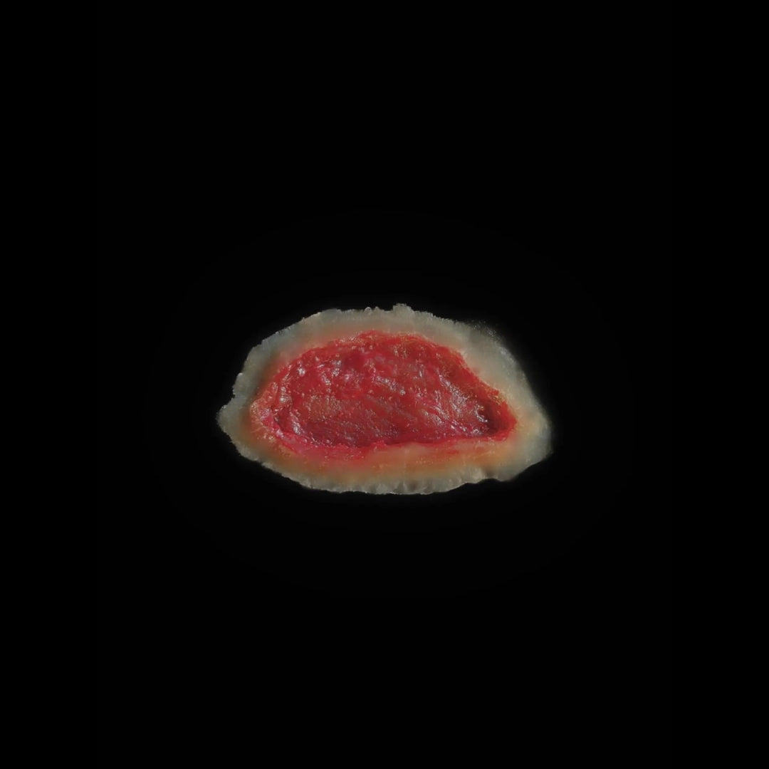 6 Large Open Wounds Laceration Skin Tear Easy to Apply and Use for EMS Scenario Training, Cosplay, & Fun