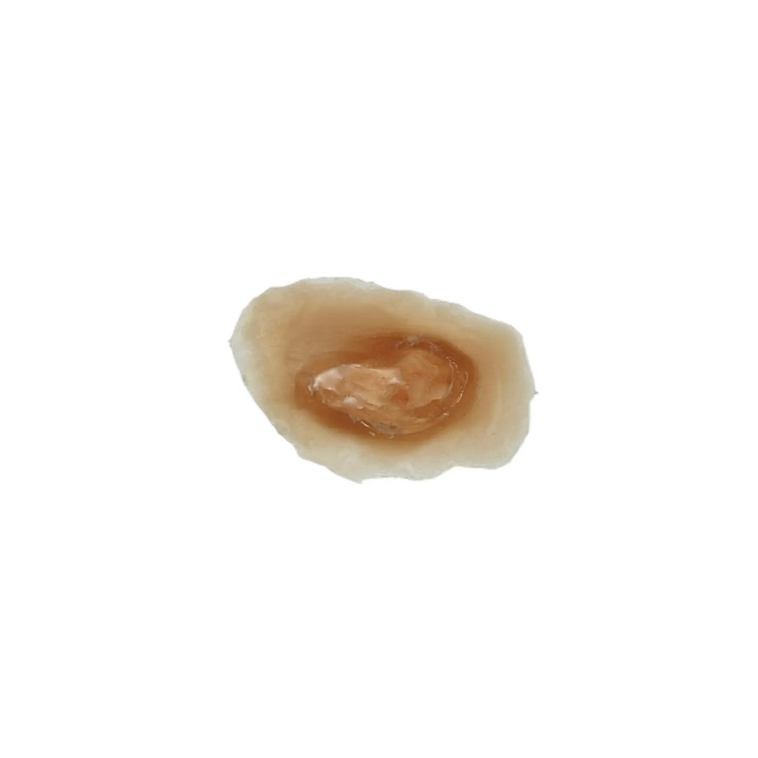 10 Pack Gunshot Wounds / Easy to Apply / Great for EMS Scenario Training, Cosplay, & Fun