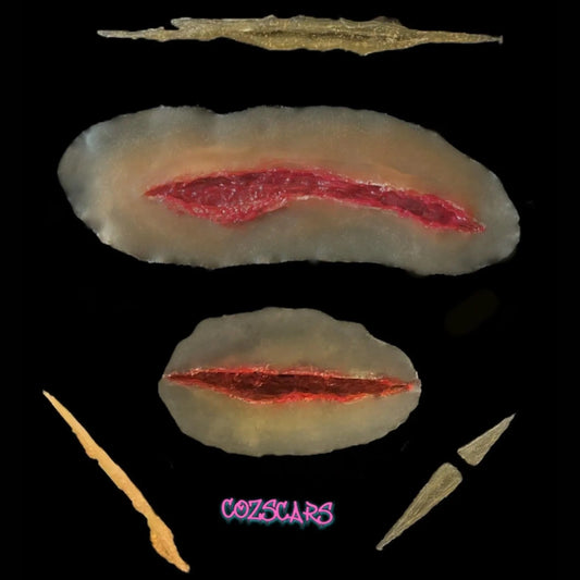 Anime character scar kit in the likeness of the character Rurouni Kenshin.