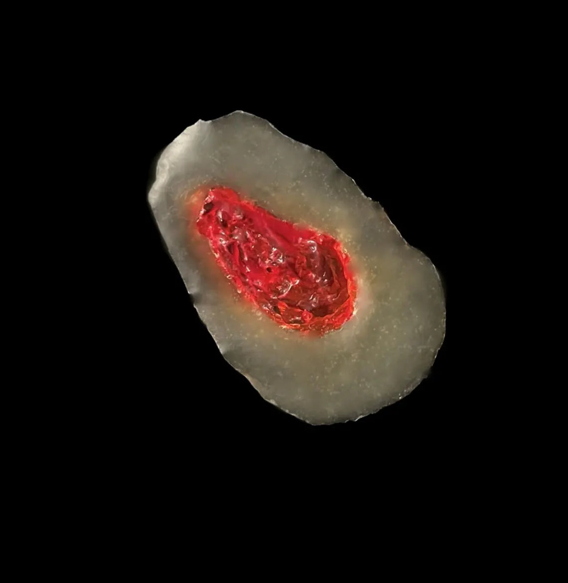 3D Gunshot Wound FX, Cosplay Costume, 10pc reusable glue on GSW scenario training & more