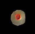 3D Gunshot Wound FX, Cosplay Costume, 10pc reusable glue on GSW scenario training & more