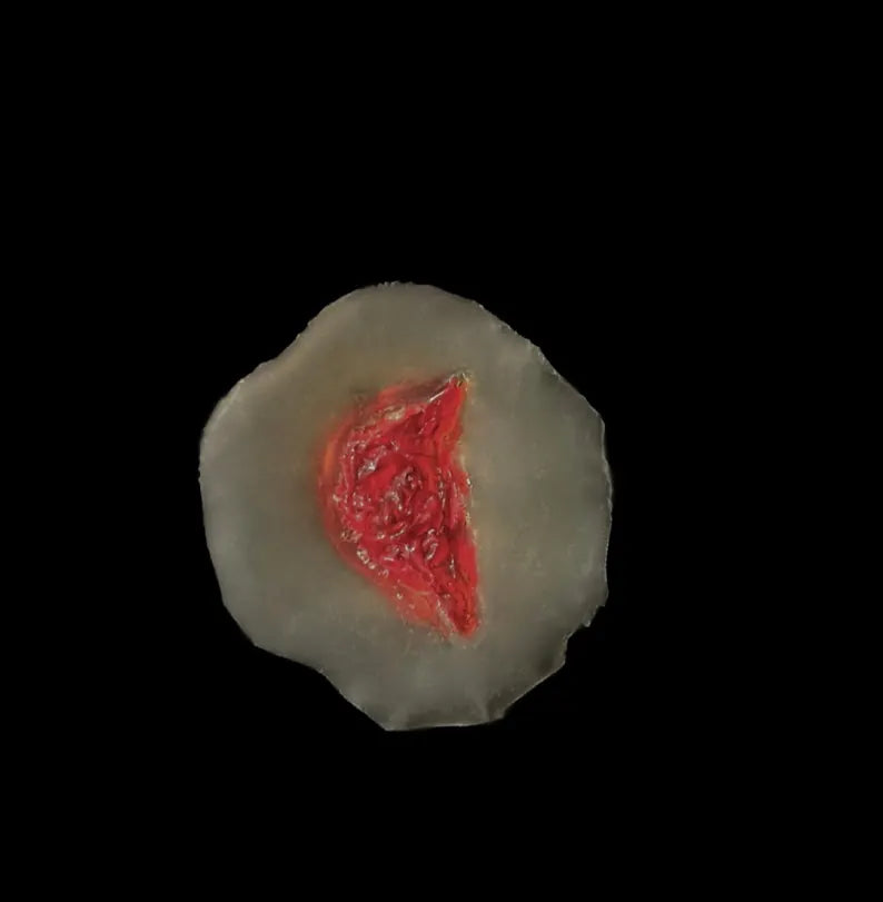 3D Gunshot Wound FX, Cosplay Costume, 10pc reusable glue on GSW scenario training & more