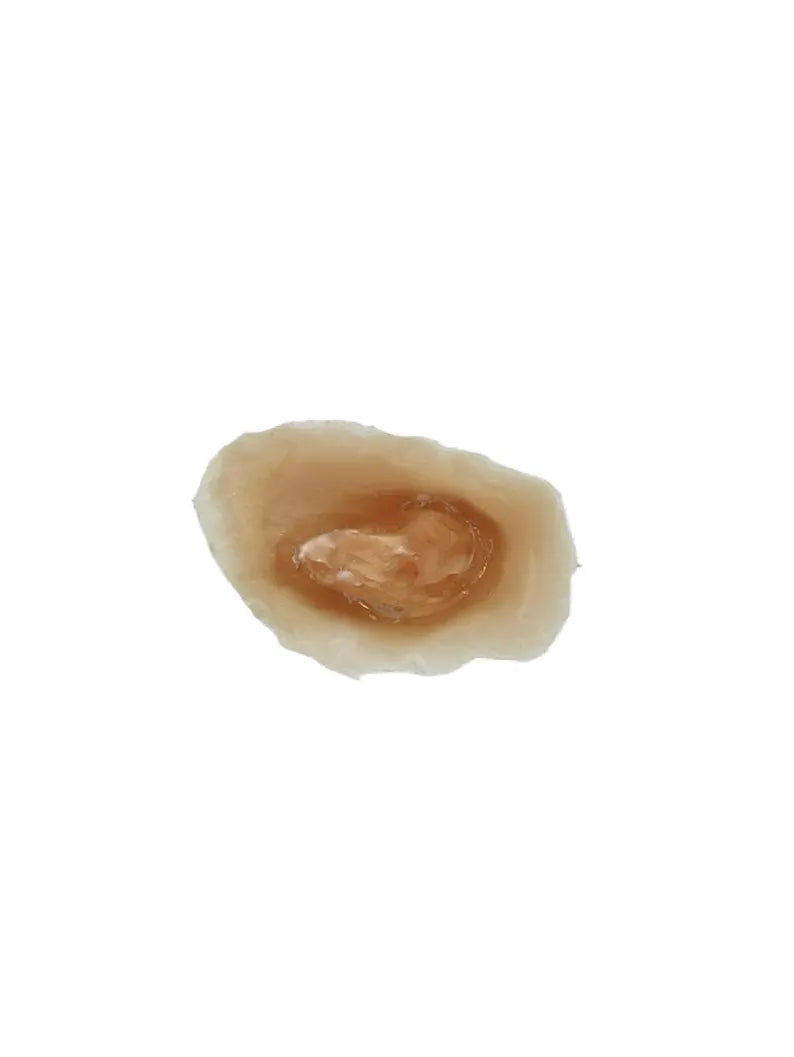 Realistic Gunshot Wound FX Makeup: 10 Pack, Cosplay & Training