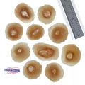 Realistic Gunshot Wound FX Makeup: 10 Pack, Cosplay & Training