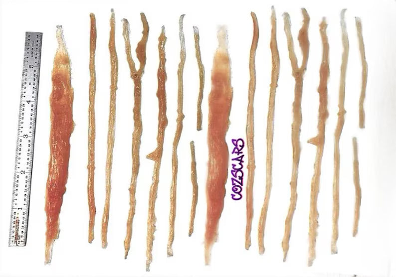 3D lifelike raised slash scars for creating a more realistic cosplay experience. Easy to apply. 14 prosthetic healed battle wounds.